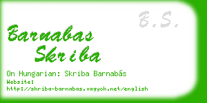 barnabas skriba business card